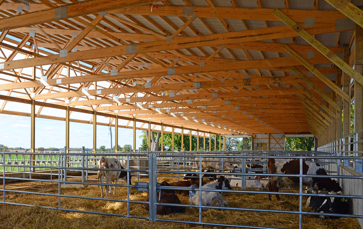interior of agricultural animal confinement building
